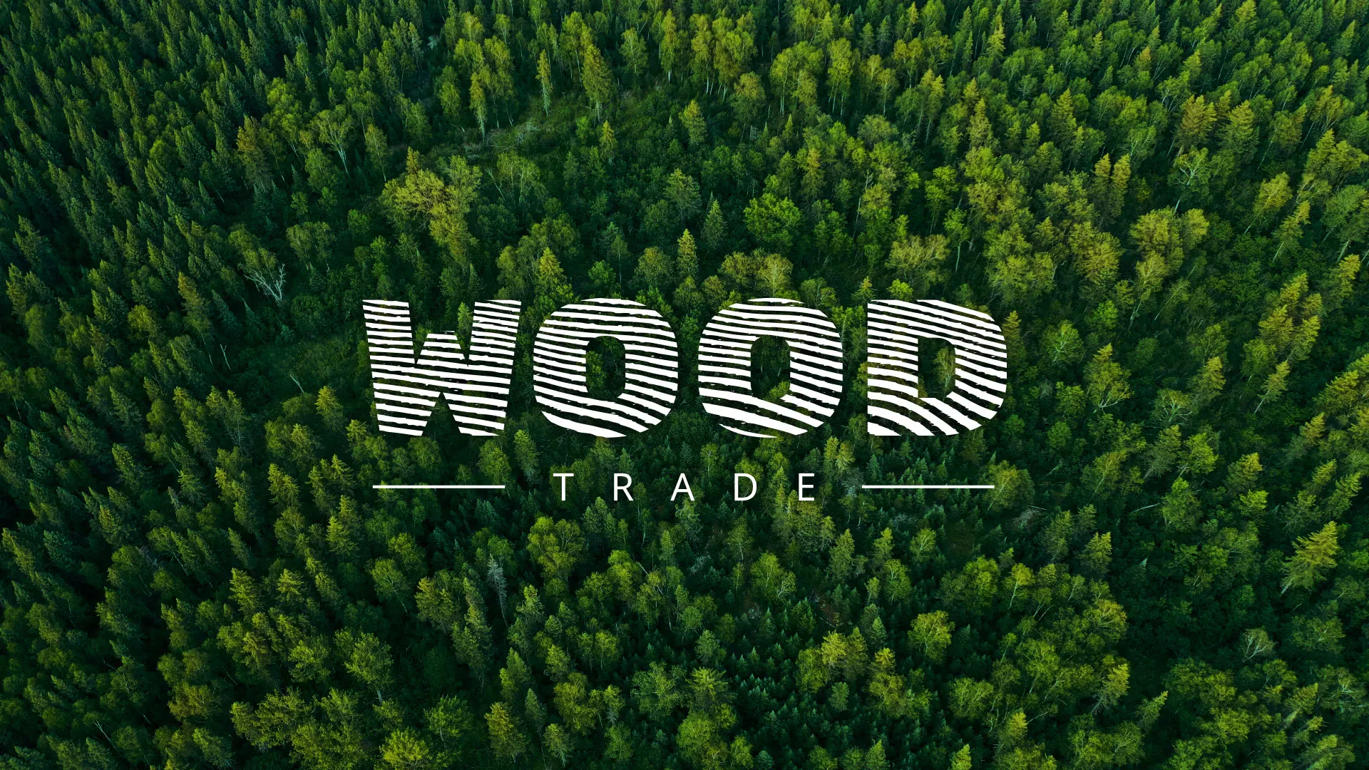 Разработка интернет-магазина компании «Wood Trade» в Мезени