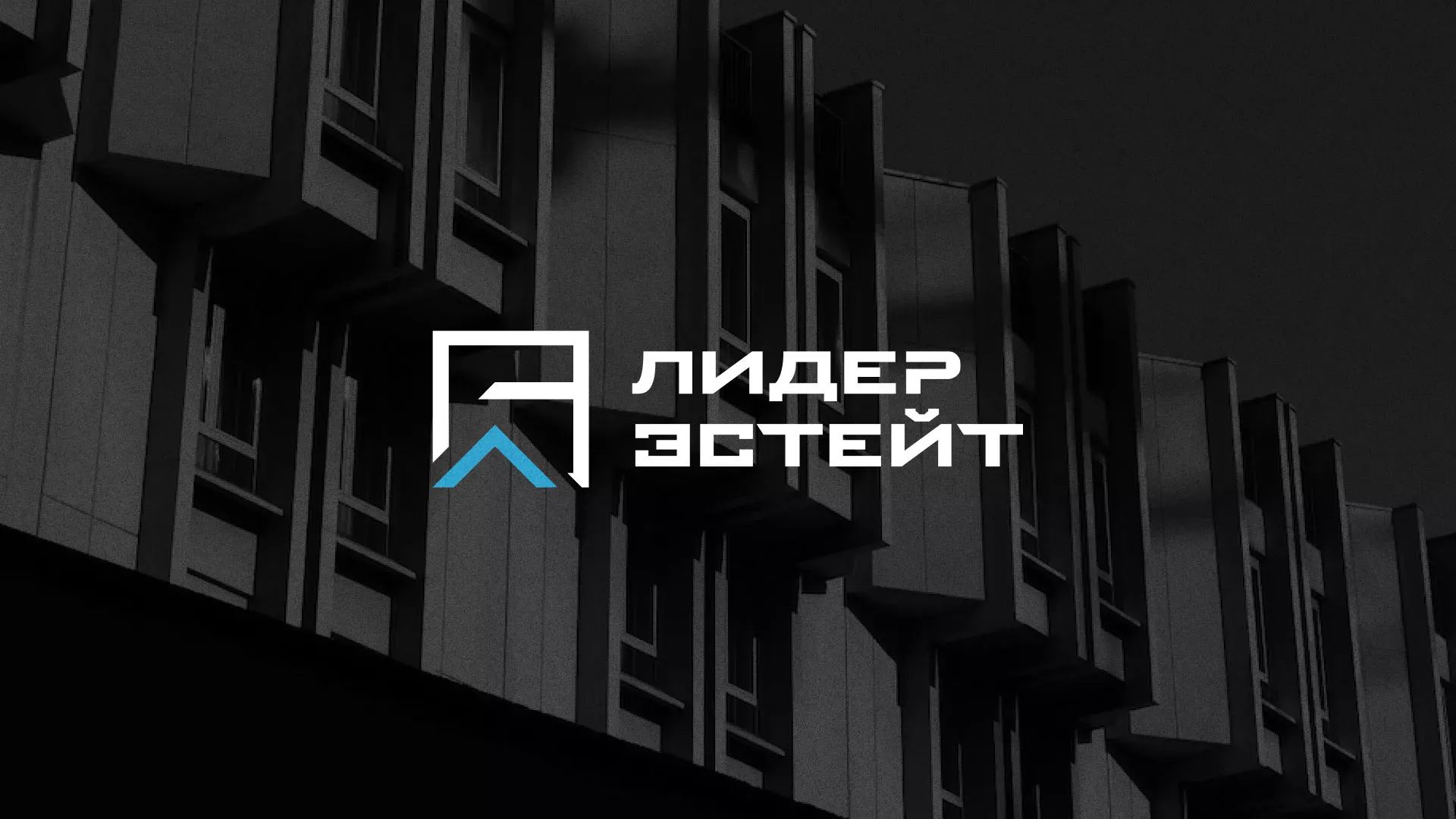 Разработка логотипа агентства недвижимости «Лидер Эстейт» в Мезени